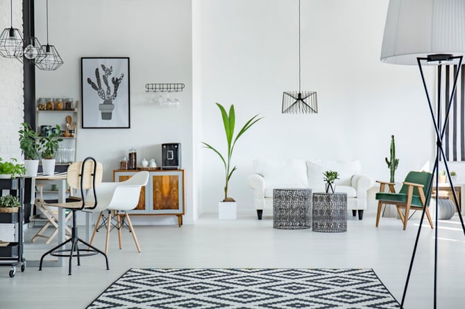 Enhancing Your Vacation Rental with a Pet-Friendly Touch