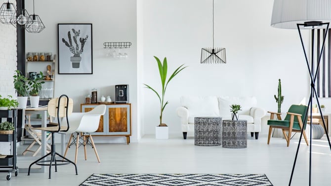 Enhancing Your Vacation Rental with a Pet-Friendly Touch